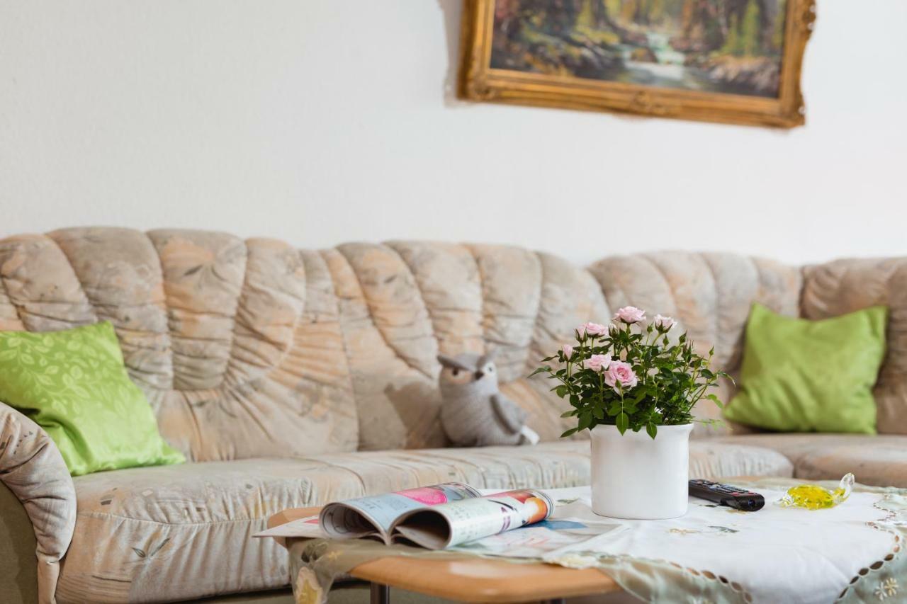 Lautenthal Ferienwohnung Harzblick מראה חיצוני תמונה