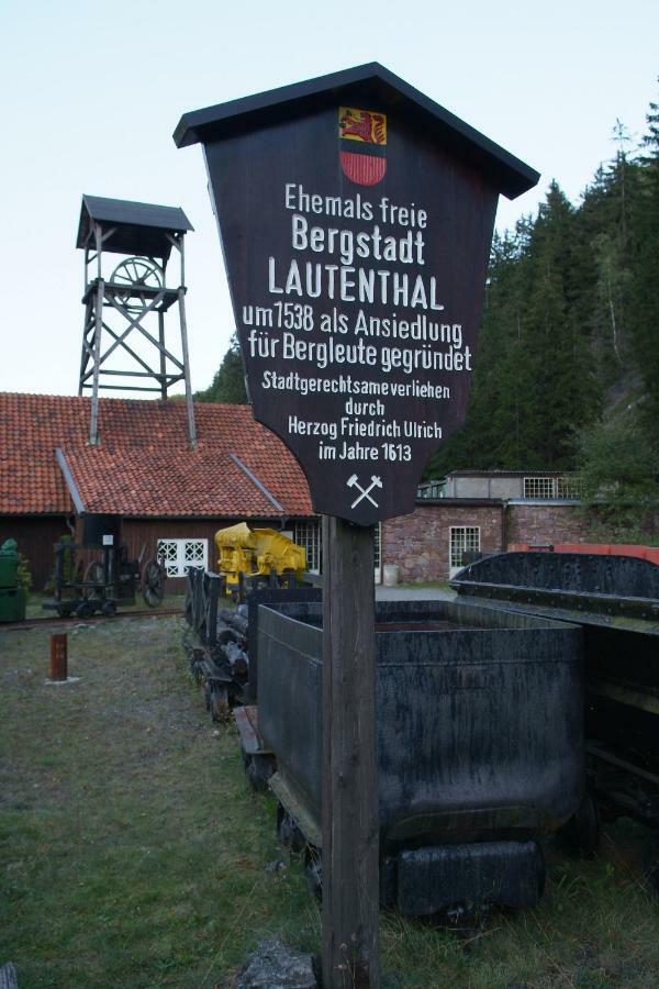 Lautenthal Ferienwohnung Harzblick מראה חיצוני תמונה